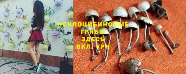 прущая мука Армянск