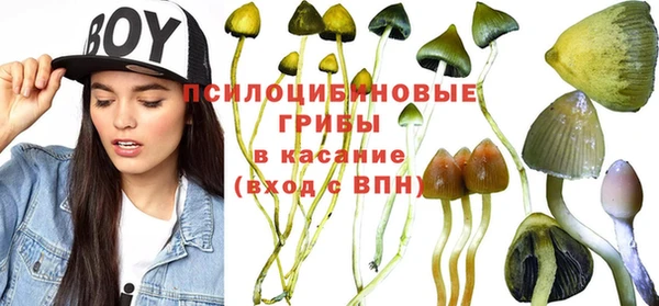 MESCALINE Арсеньев