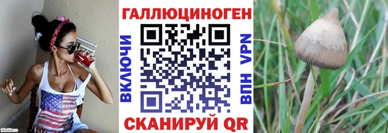 Псилоцибиновые грибы GOLDEN TEACHER  Октябрьск 